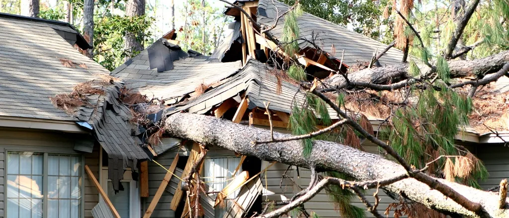 Storm damage